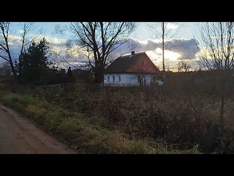 Видео: Иккита 150.000 рубльдан Уй Хамза, Абдимўмин акаларга қўшни деревняда СОТИЛАДИ