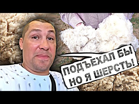 Видео: СЕРЫЙ ОТМАЗЫВАЕТСЯ ПОЧЕМУ НЕ ПРИЕХАЛ НА БОЙ (ВСТРЕЧУ) / КРЫСЫ - МОДЕРАТОРЫ НА СТРИМЕ (ШЕРСТЬ)