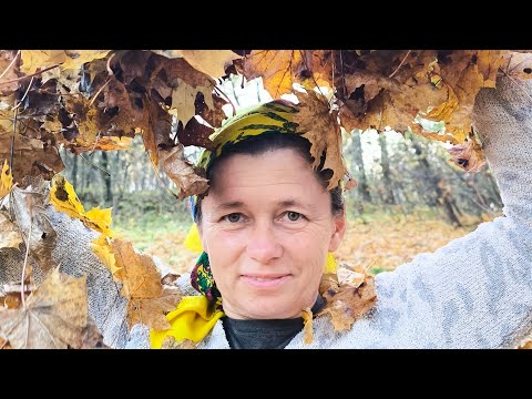 Видео: приємного спілкування друзі