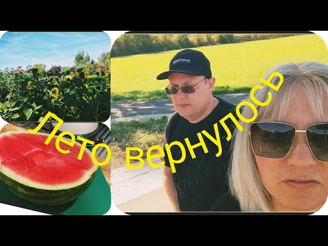 Видео: Пруд🐢🦆/ Закупка в LIDL🛒/ Очень вкусный яблочный пирог/ Ответ на комментарий