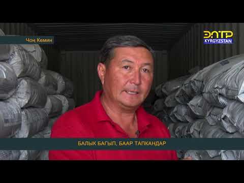 Видео: Регион Балык Чон Кемин ЭлТР