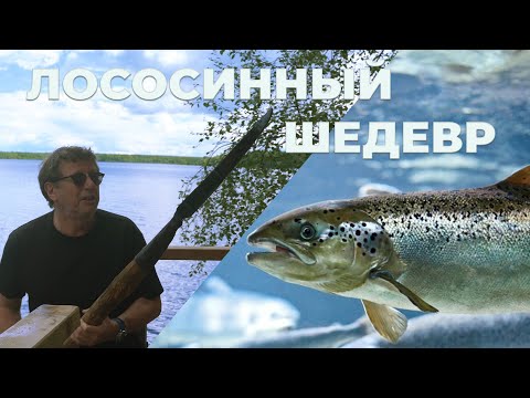 Видео: ЛОСОСИНЫЙ ШЕДЕВР/КАРЕЛИЯ