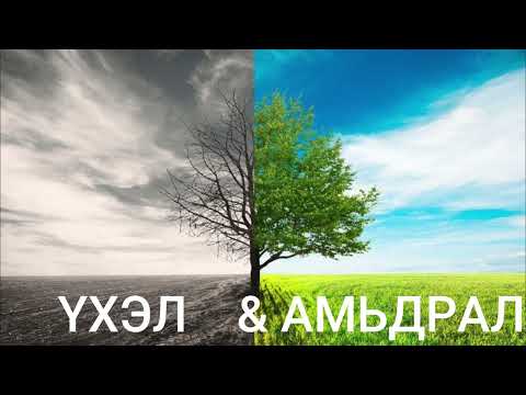 Видео: ҮХЭЛ ба АМЬДРАЛ_#7_АМИРЛАЛ БЯСАЛГАЛЫН ТӨВ