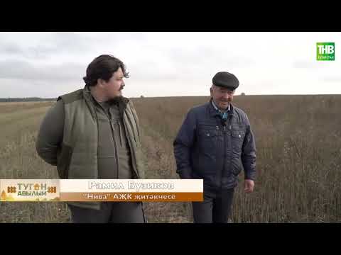 Видео: Туган авылым 20/11/22