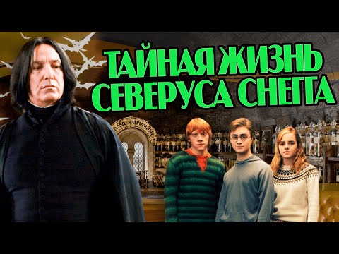 Видео: Северус Снейп о Гарри Поттере, Дамблдоре и Волдеморте