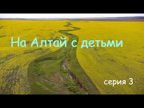 Видео: Север Казахстана с детьми на велосипеде. Серия 3