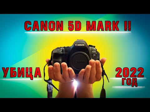 Видео: Актуальность canon 5d mark ii на 2022 год. Убица кропов новичков!!!! Фотоаппарат для новичков.