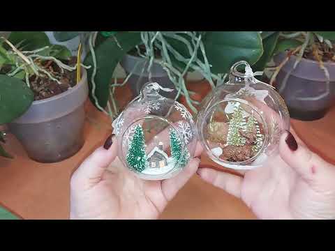 Видео: Орхидеи)) Большое пополнение коллекции. Привезла много орхидей.  30.10.2025г.