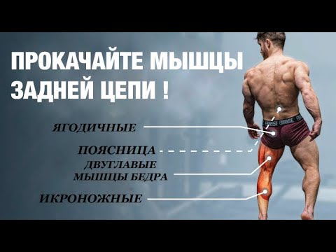 Видео: Лучшая тренировка НИЗА ТЕЛА (ягодицы, двуглавые мышцы бедра и поясница). | Джефф Ниппард