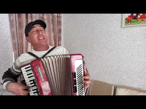 Видео: Жаштыкты, суйууну эстетип ыйлата турган ыр болду. Алтын Халилов