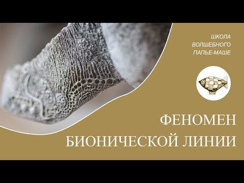 Видео: Феномен бионической линии. Часть 1.