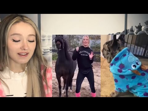 Видео: Попробуйте не «Уууу» ЧЕЛЛЕНДЖ - Забавные животные РЕАКЦИЯ!!!