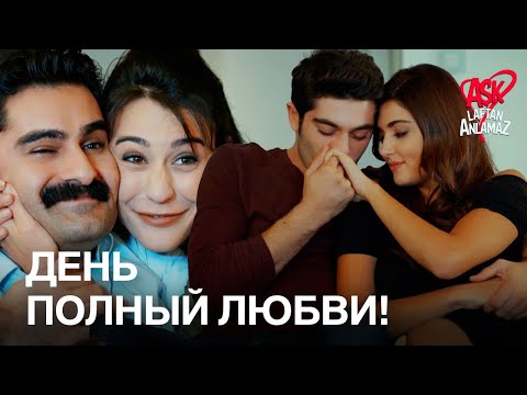 Видео: Любящие сближения! | Любовь не понимает слов