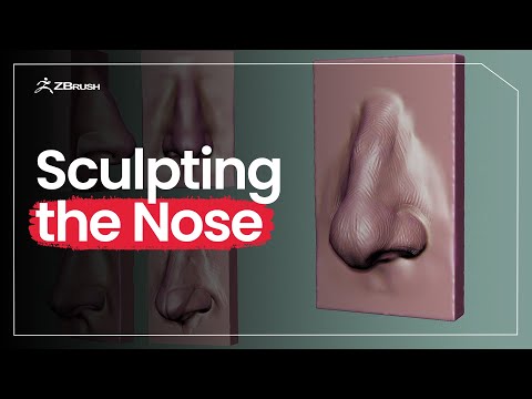 Видео: Введение в скульптурирование — скульптурирование носа в ZBrush