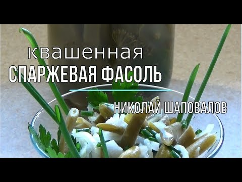 Видео: квашенная спаржевая фасоль, рецепт, можно под железную крышку, николай шаповалов