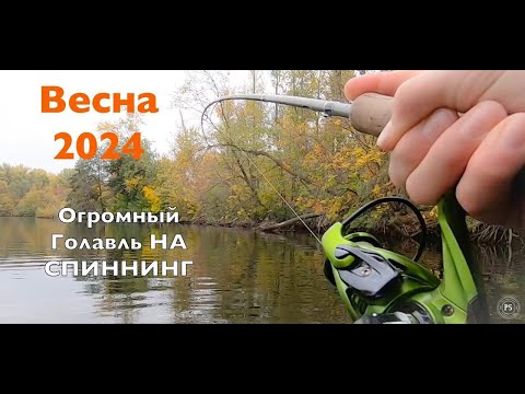 Видео: ВОДА КИПИТ ОТ РЫБЫ😱😱! ОГРОМНЫЙ ГОЛАВЛЬ🐟! РЫБАЛКА НА ЛОДКЕ С ДРУГОМ НА ОСТРОВЕ!🔥