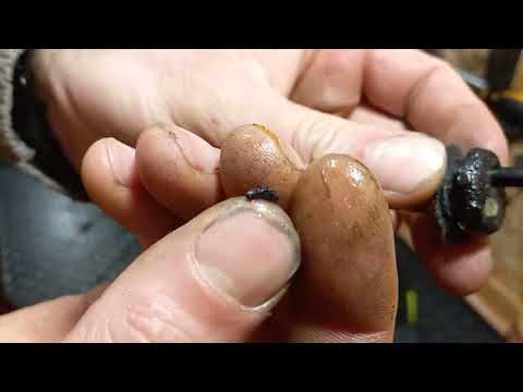 Видео: Бензокоса Китпром - після ремонту гарантія закінчується при видачі