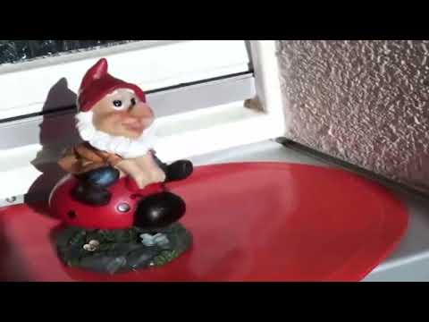 Видео: 70. Жизнь в Германии. Наша квартира. Германия. Ахен 03.03.2011