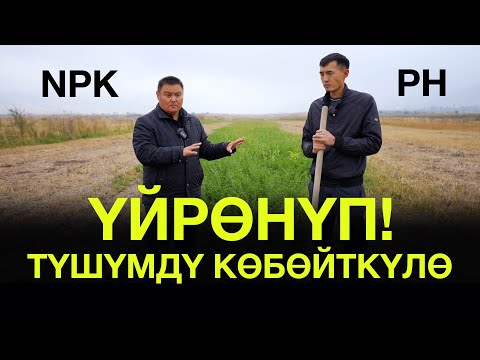 Видео: Бул нерсени 50% дыйкан билбейт. Билгендердин чыгымы аз! Кантип туура жер менен иштешибиз керек!