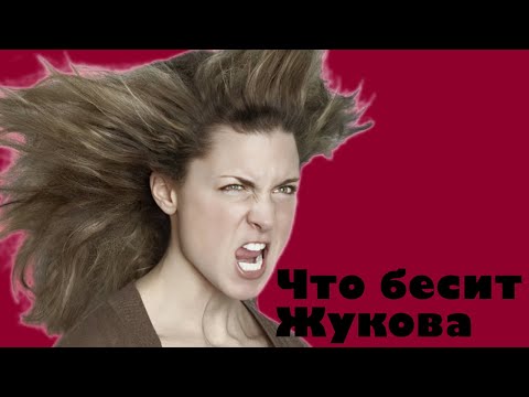 Видео: Что бесит Жукова.