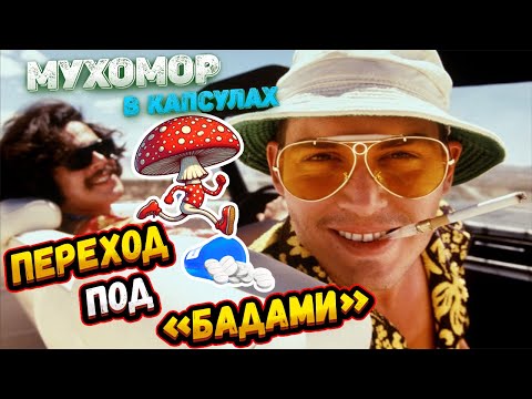 Видео: #61 🚀📅ПЕРЕХОД НА ПАСХУ. НАТКНУЛИСЬ НА ПАЛАТКУ ПОГРАНЦОВ. Закинули 150 таблеток🍄Видели огромную птицу