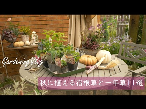 Видео: Gardening　Vlog｜ 11 цветов, которые рекомендуется посадить осенью для красивого сада весной