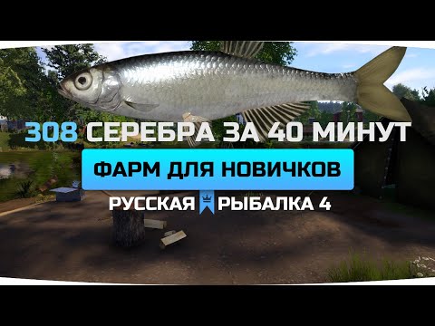 Видео: ФАРМ СЕРЕБРА для НОВИЧКОВ ● РАЗДАЧА МУХИ ● Русская Рыбалка 4