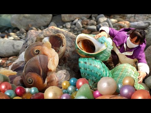 Видео: Невообразимые выгоды! Зеленых улиток было так много, что каждая выплевывала жемчуг.