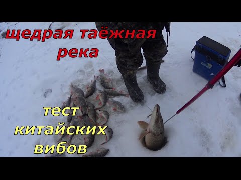 Видео: Рыбалка с дедом. Голодный окунь на таёжной реке плюс бонус.