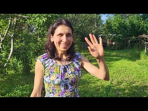 Видео: Шахматно засаждане на домати с Евгения