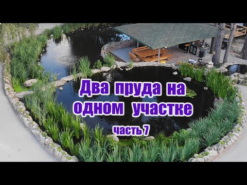 Видео: Два пруда на одном участке (часть7)