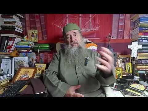 Видео: Всем нужна любовь, а не кровь!