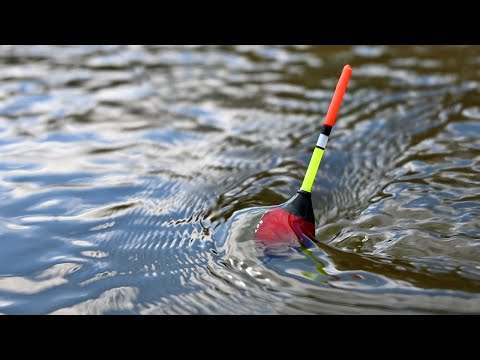 Видео: РИБОЛОВ на ИЗТИЧАНЕ с БОЛОНЕЗА и ПЛУВКА-ТЕСТВАХ НОВАТА TICA STRUMA