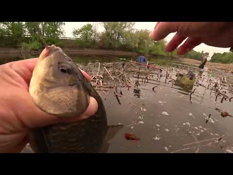 Видео: Боковий кивок.перевірка місцевості.