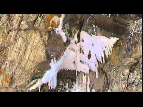 Видео: В красной зоне - Байкальский лед (2010), часть 3