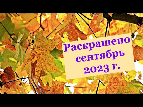 Видео: Раскрашивательные итоги сентябрь 2023 #раскраскиантистресс #раскраскидлявзрослых #coloringbook