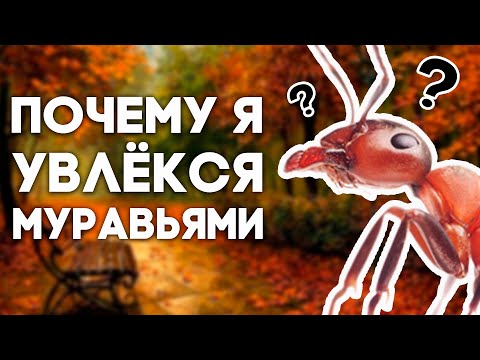 Видео: КАК Я НАЧАЛ УВЛЕКАТЬСЯ МУРАВЬЯМИ? ИСТОРИИ КИПЕРА #2. \\ Димон и пумба