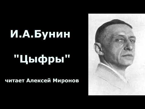 Видео: И.А.Бунин "Цыфры"