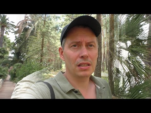 Видео: Грибы, Которые Ломают Реальность и Ювелирно Меняют Жизнь.