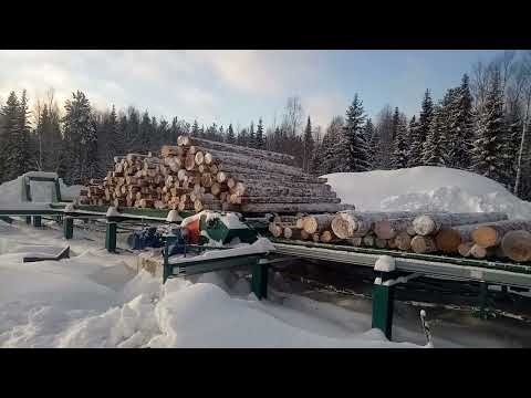 Видео: Раскатный стол линии сортировки бревен AXEL-RLS