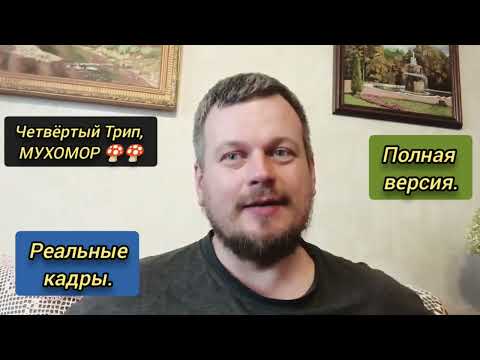 Видео: Четвёртый мой Трип, МУХОМОР. Реальные кадры. Полная версия. #пробуждение #мухомор #бог #трип #боги