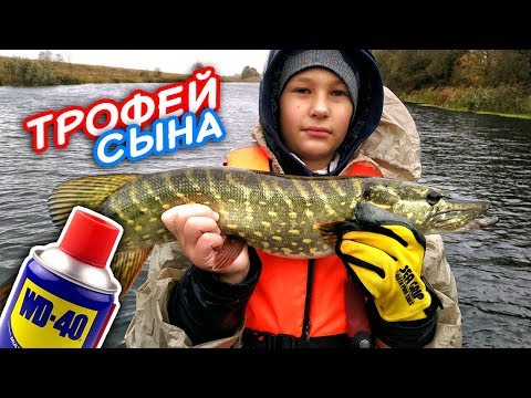 Видео: Первый трофей сына! Щука на WD40. Ловля щуки на воблеры! Рыбалка на щуку! | Рыбалка осень 2017