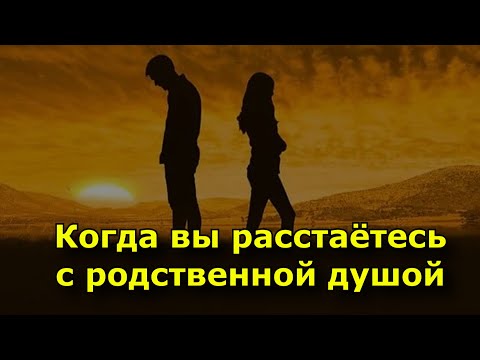 Видео: Когда вы расстаетесь с родственной душой произойдут эти 7 вещей