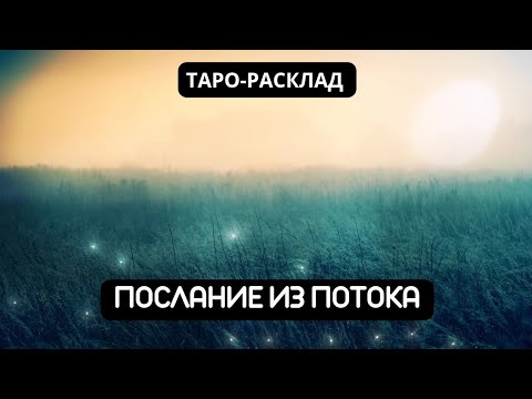 Видео: ПОСЛАНИЕ ИЗ ПОТОКА #таро #видео #гадание 