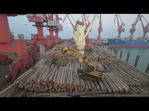 Видео: Выгрузка леса в китае 11 ноября 2025