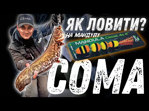 Видео: Як зловити сома ? Дідівський перевірений спосіб!
