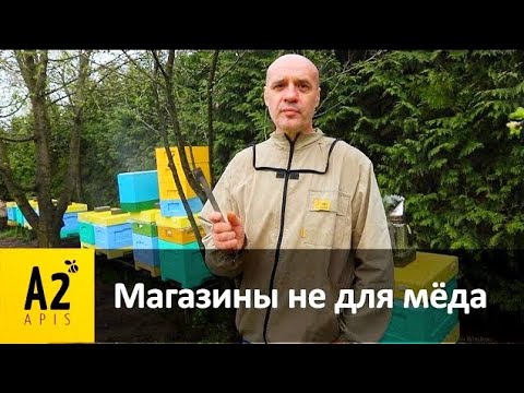 Видео: #Пасека #A2APIS: Как весной нарастить расплод #пчёл