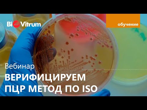 Видео: Вебинар "Верификация ПЦР метода по ISO"