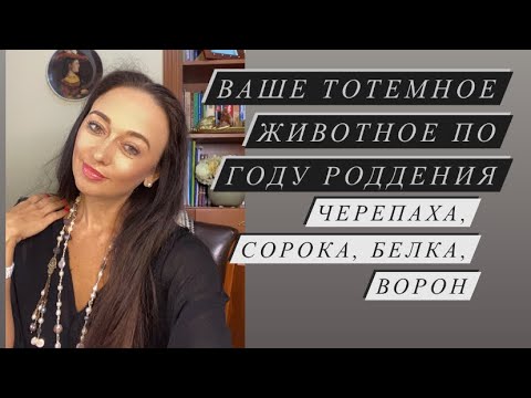 Видео: Черепаха, Сорока, Белка, Ворон- ваше тотемное животное по году рождения и их особенности#