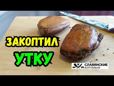Видео: Утка Холодного КОПЧЕНИЯ за 13 минут! Электростатическая коптильня!